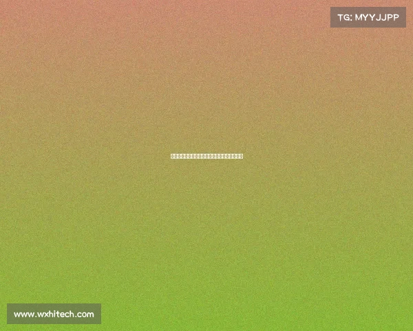 泳协赛事盛大开幕汇聚四方泳将逐浪争锋展英姿